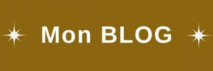 Bouton lien blog