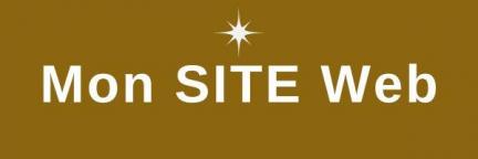 Bouton lien site 2 1