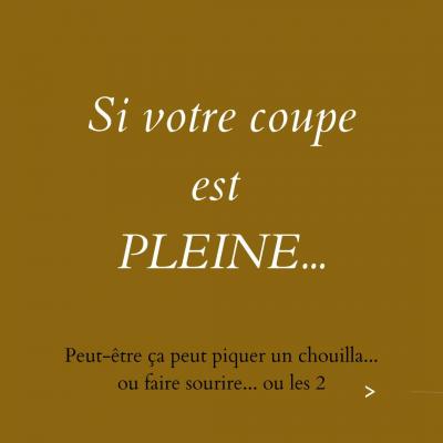 Coupe pleine bazar spi