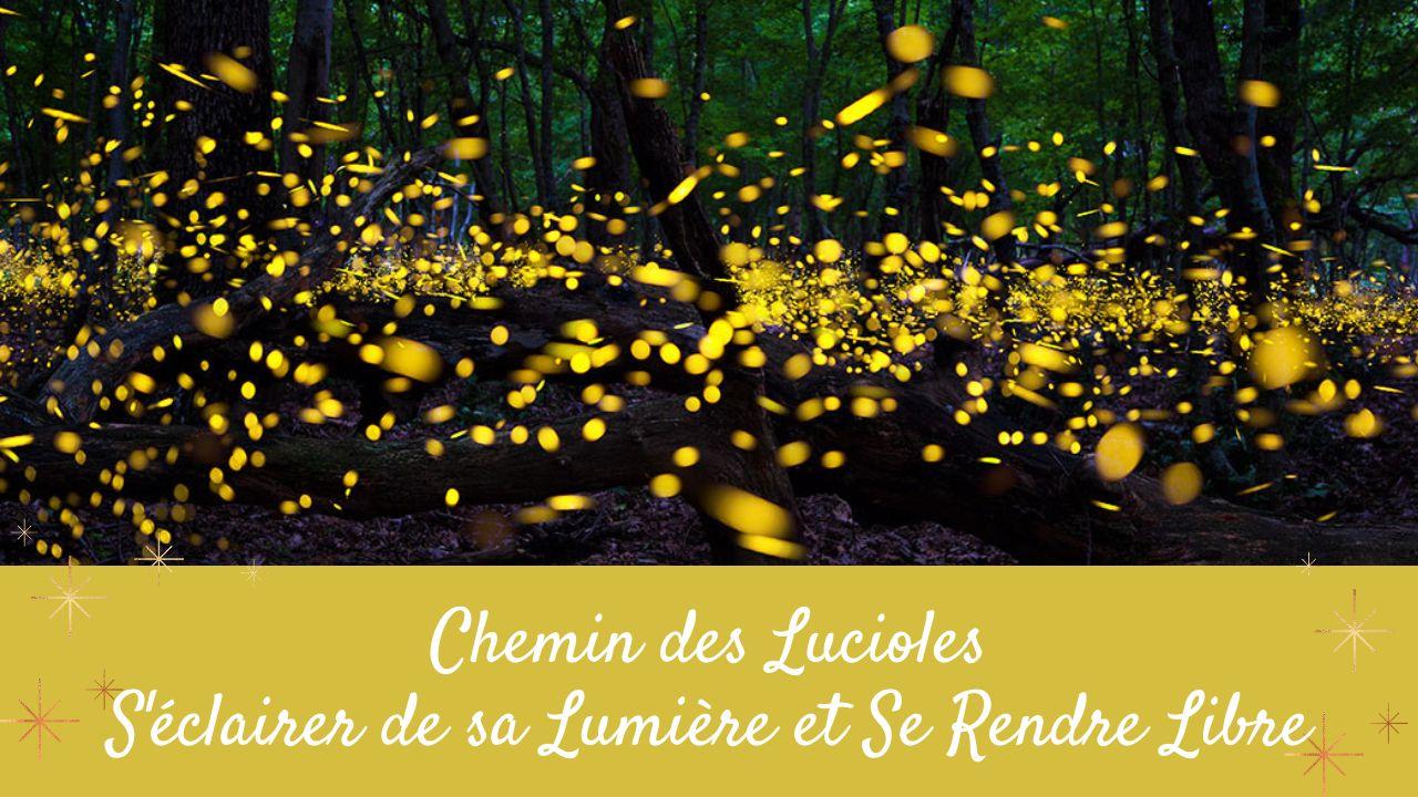 Lucioles illustration ervs canva 1