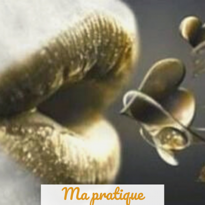 Ma pratique 2022