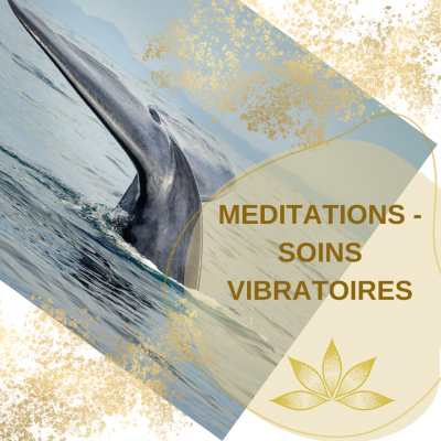 Meditations logo baleine cnva