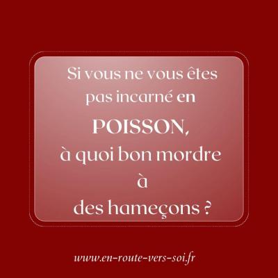 Poisson hamecon